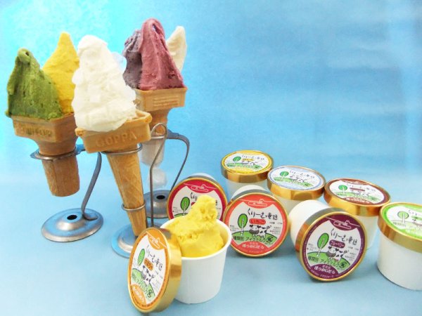 画像2: D-20セット（100ml×20個） (2)