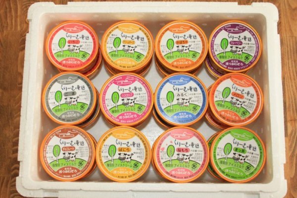 画像3: F-24セット（100ml×12個）×2個ずつ (3)